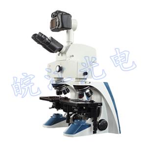WSB-1生物比较显... 